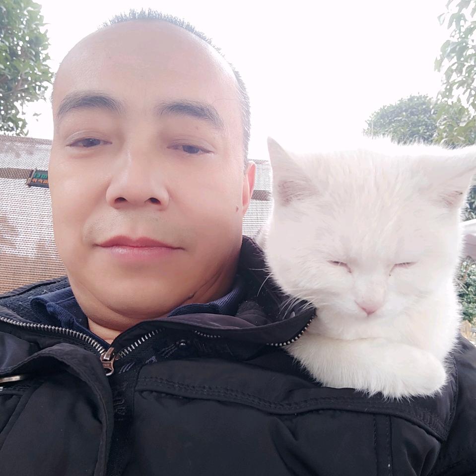 伟哥