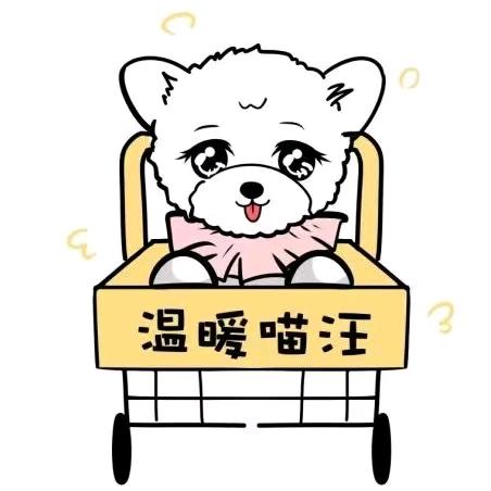 温暖宠物犬猫专卖(乐清虹桥店)官方号