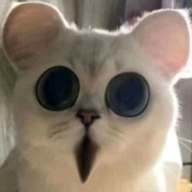 叽叽呱呱