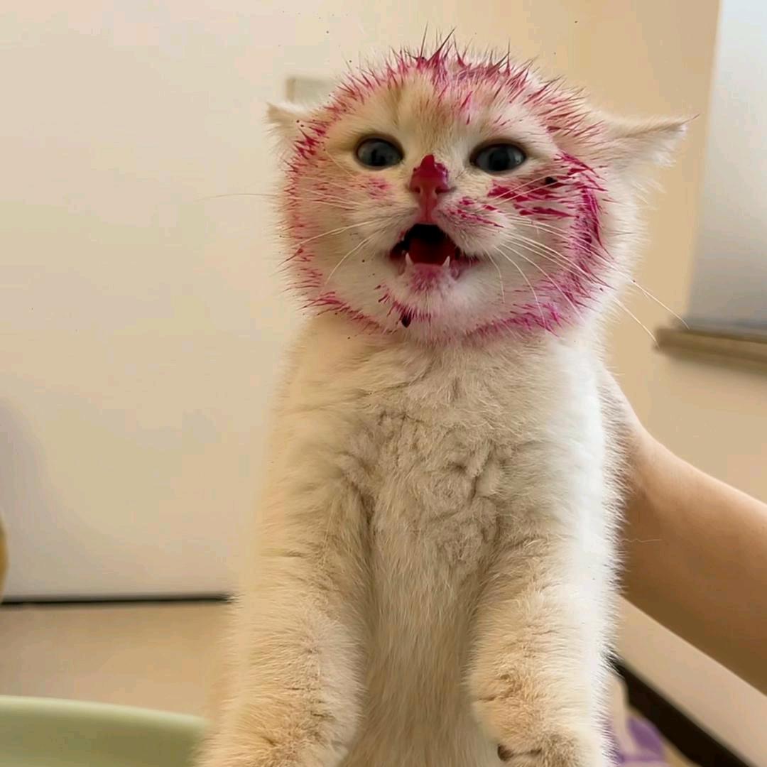 Nimi