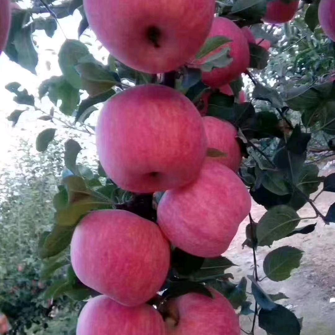 钱💰多💰多💰