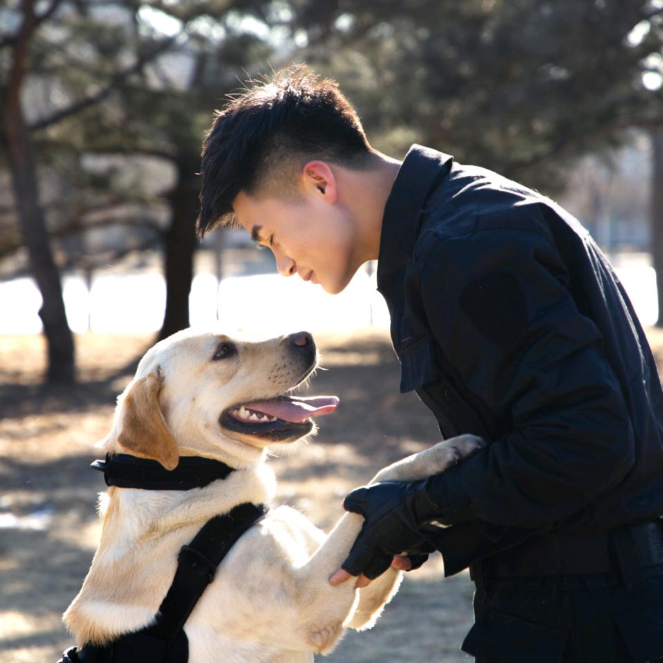 警犬豆豆