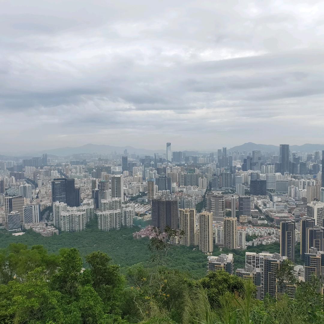 米菲好物
