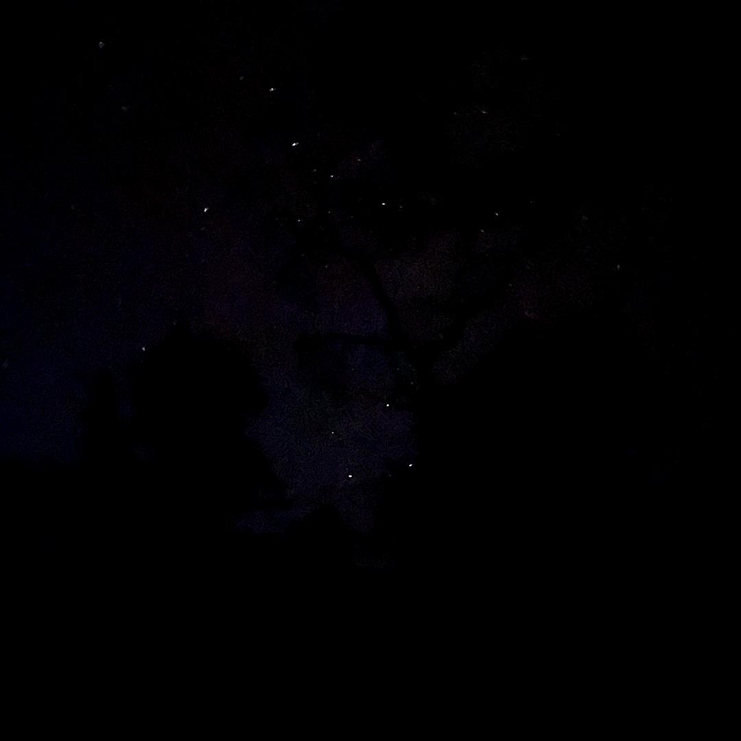 穿山乙