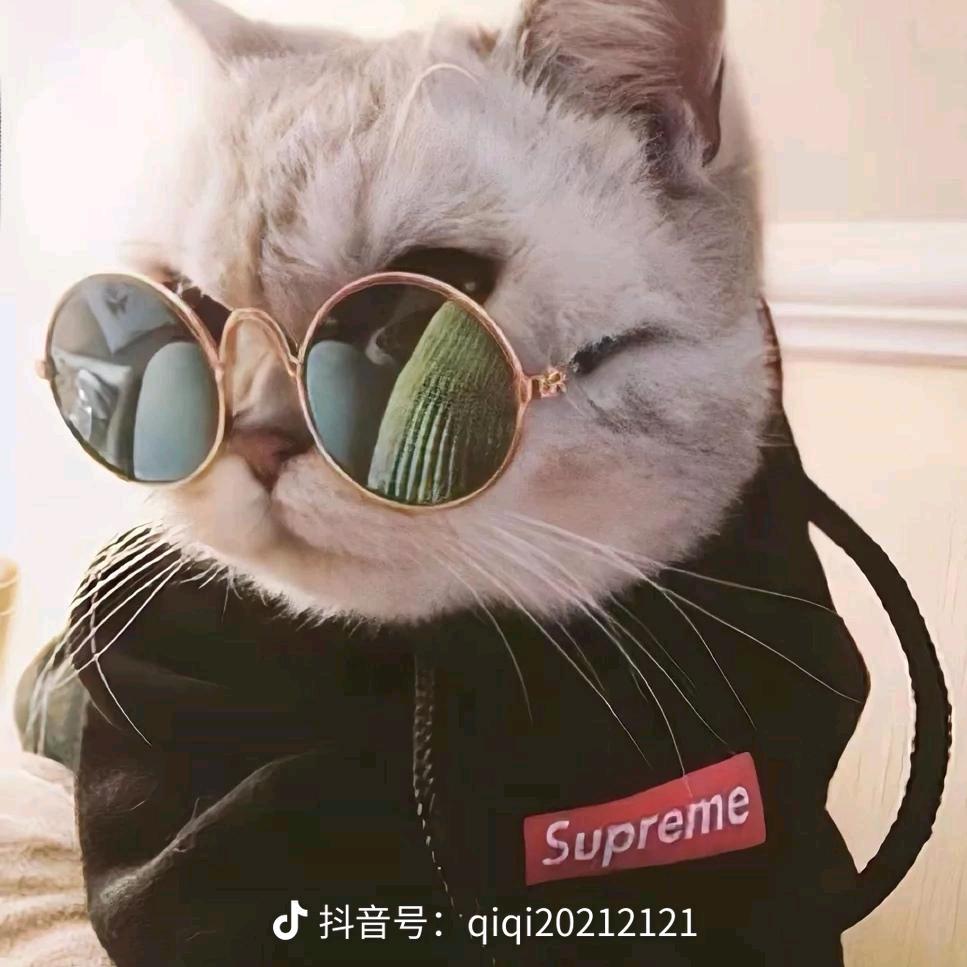 anhua🌈🌈