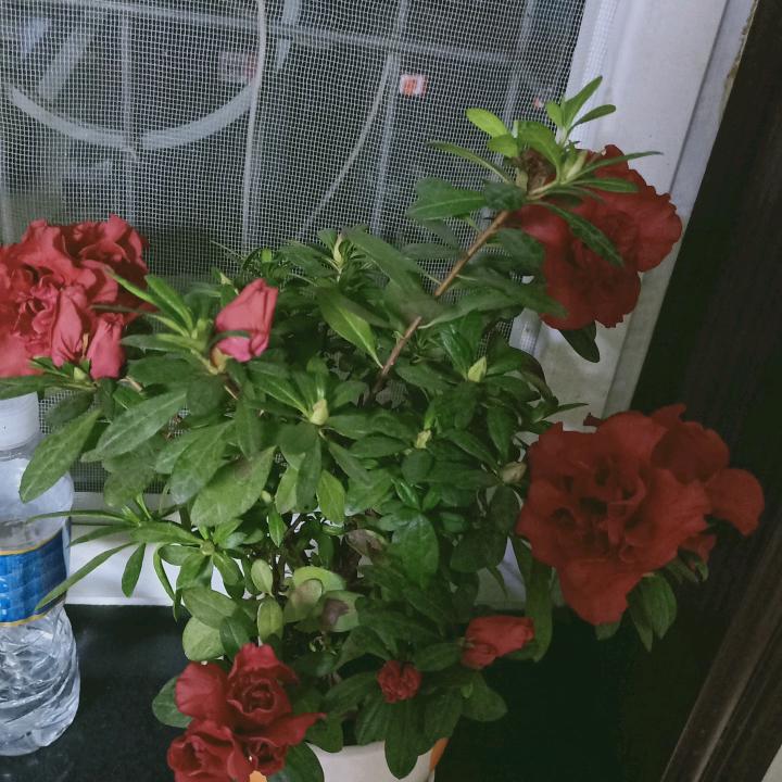 暮然回首