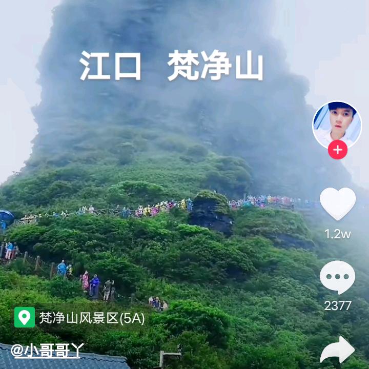 为了生活加油