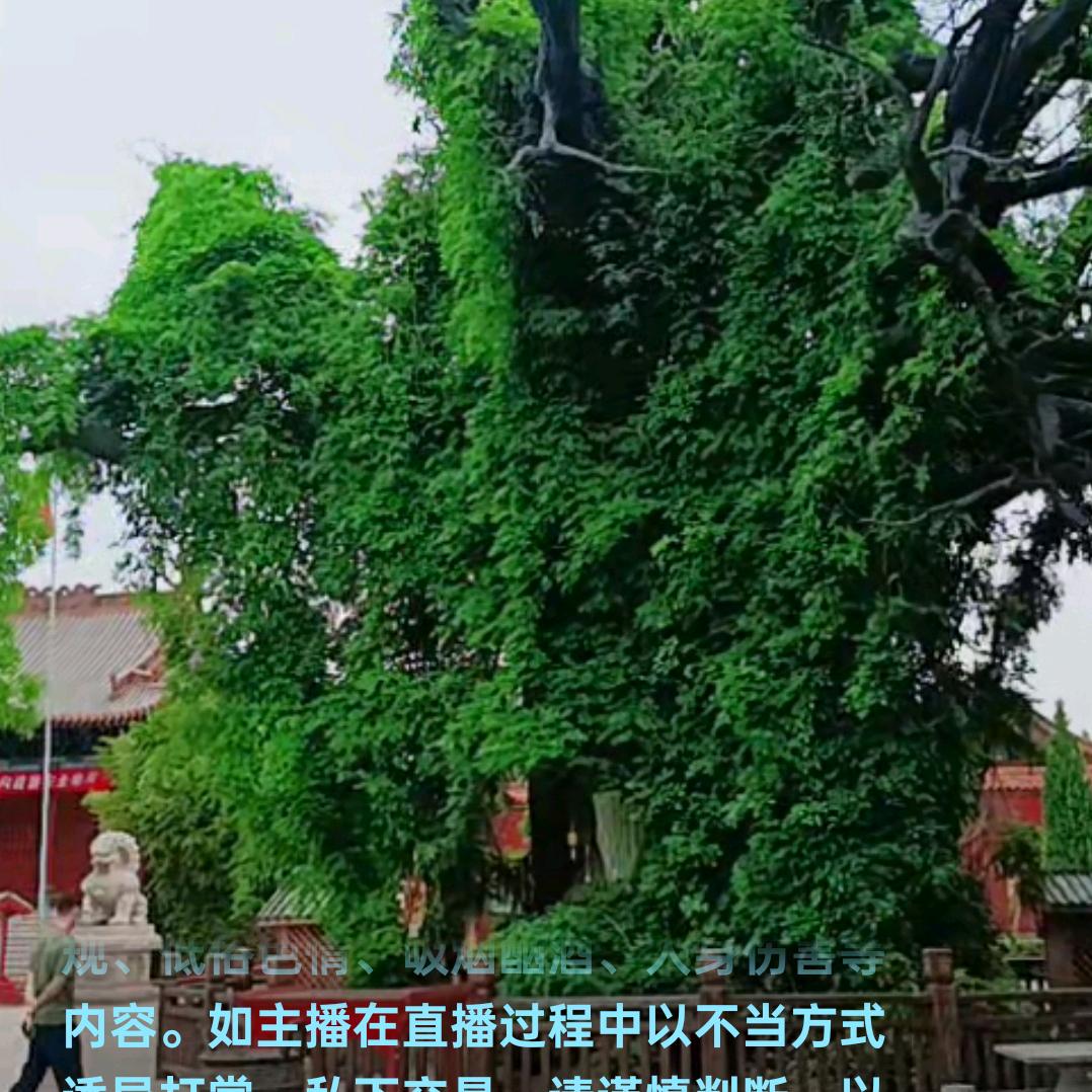 洪洞县马三村王继红