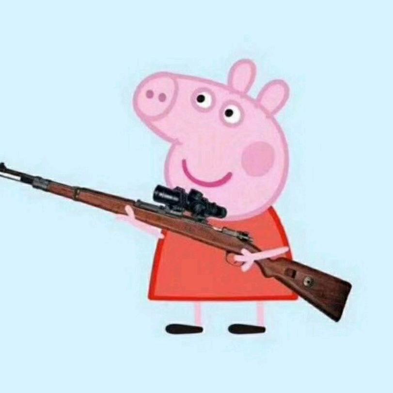 🌵涛声依旧🌴