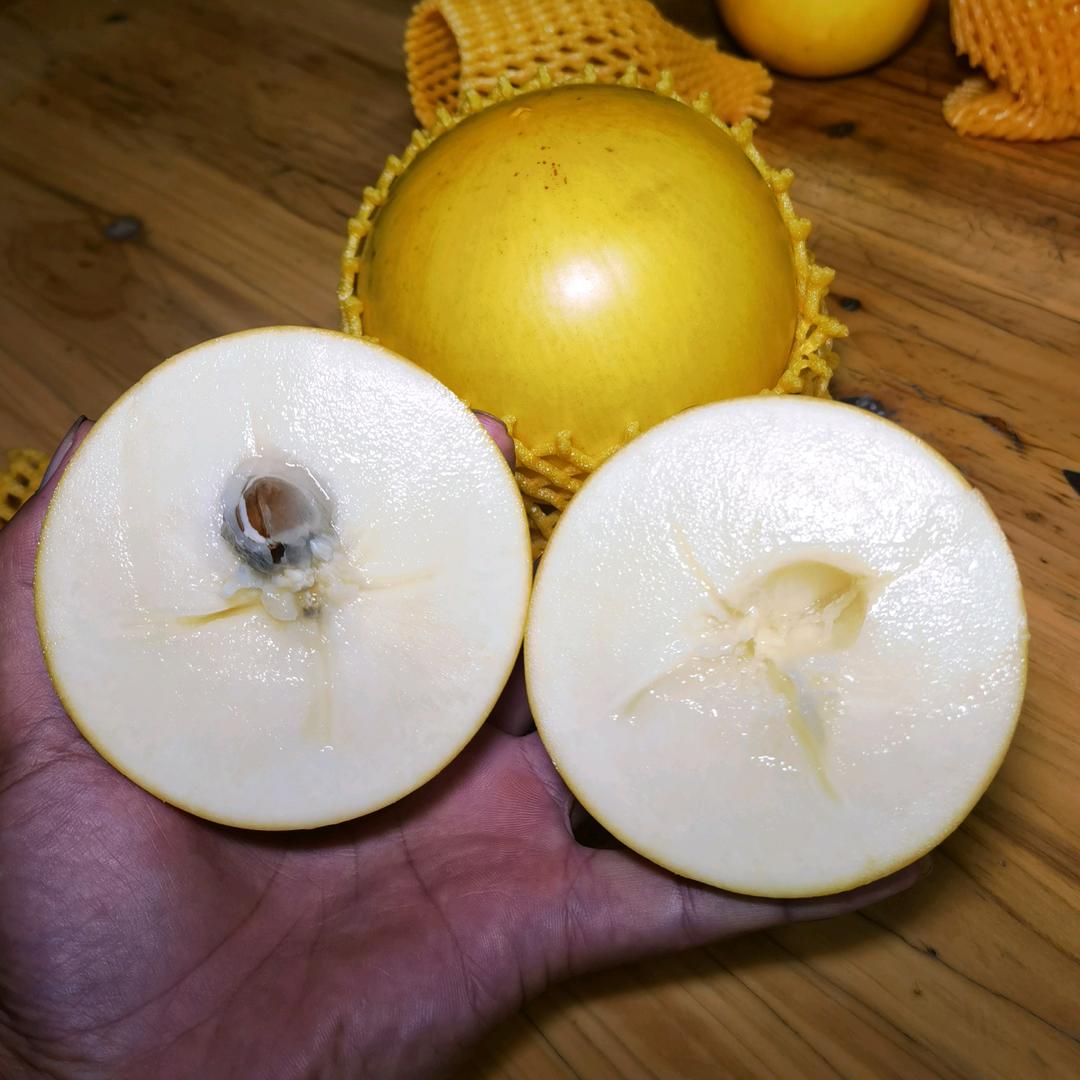 广州金林林业