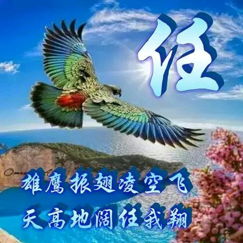 平淡人生