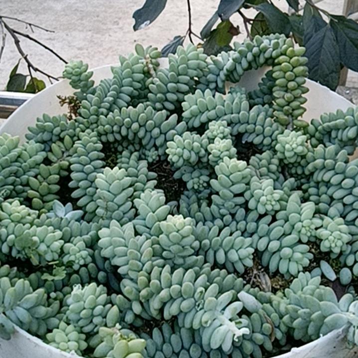 溜了溜了没课了