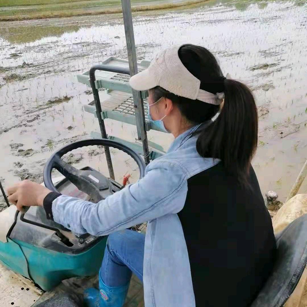 木兰花乡（鸿利茶场）