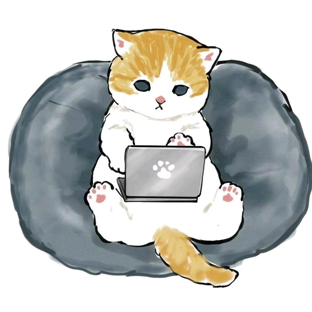 扬州猫舍*上门洗猫（可异地）