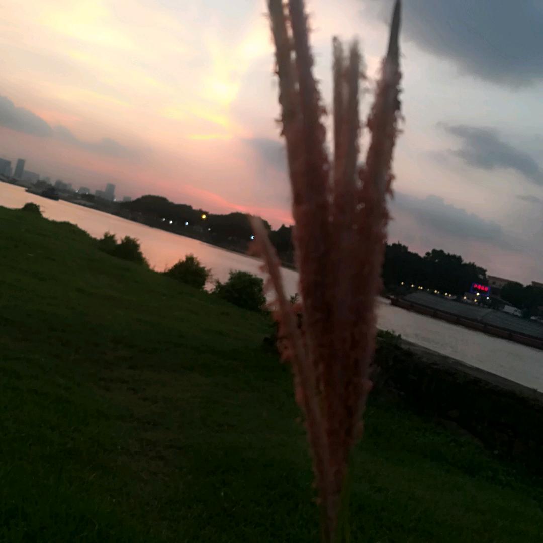 Ht