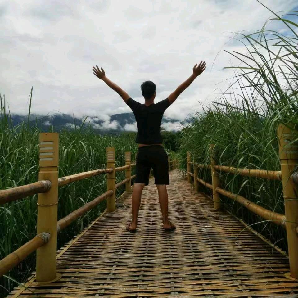 逆夏@