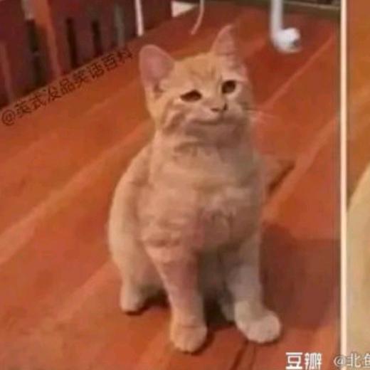 我很菜