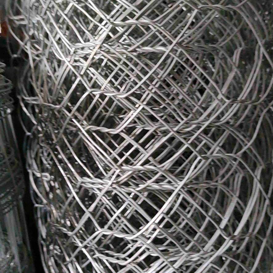 在西藏的河北人（小号）