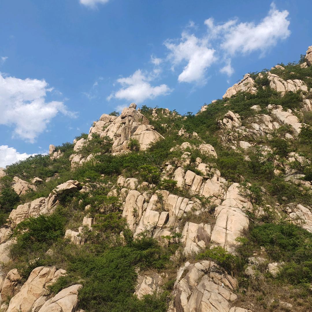 郑郑郑