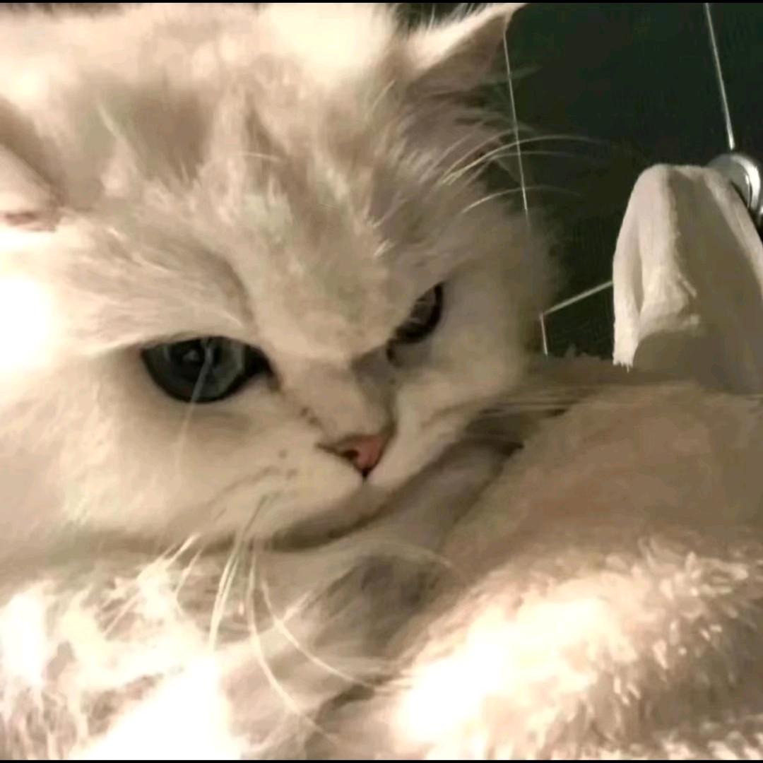 反色