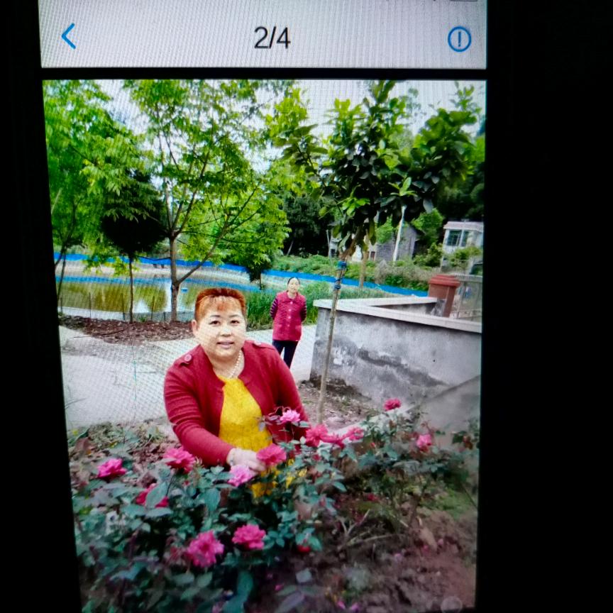 卜桂珍