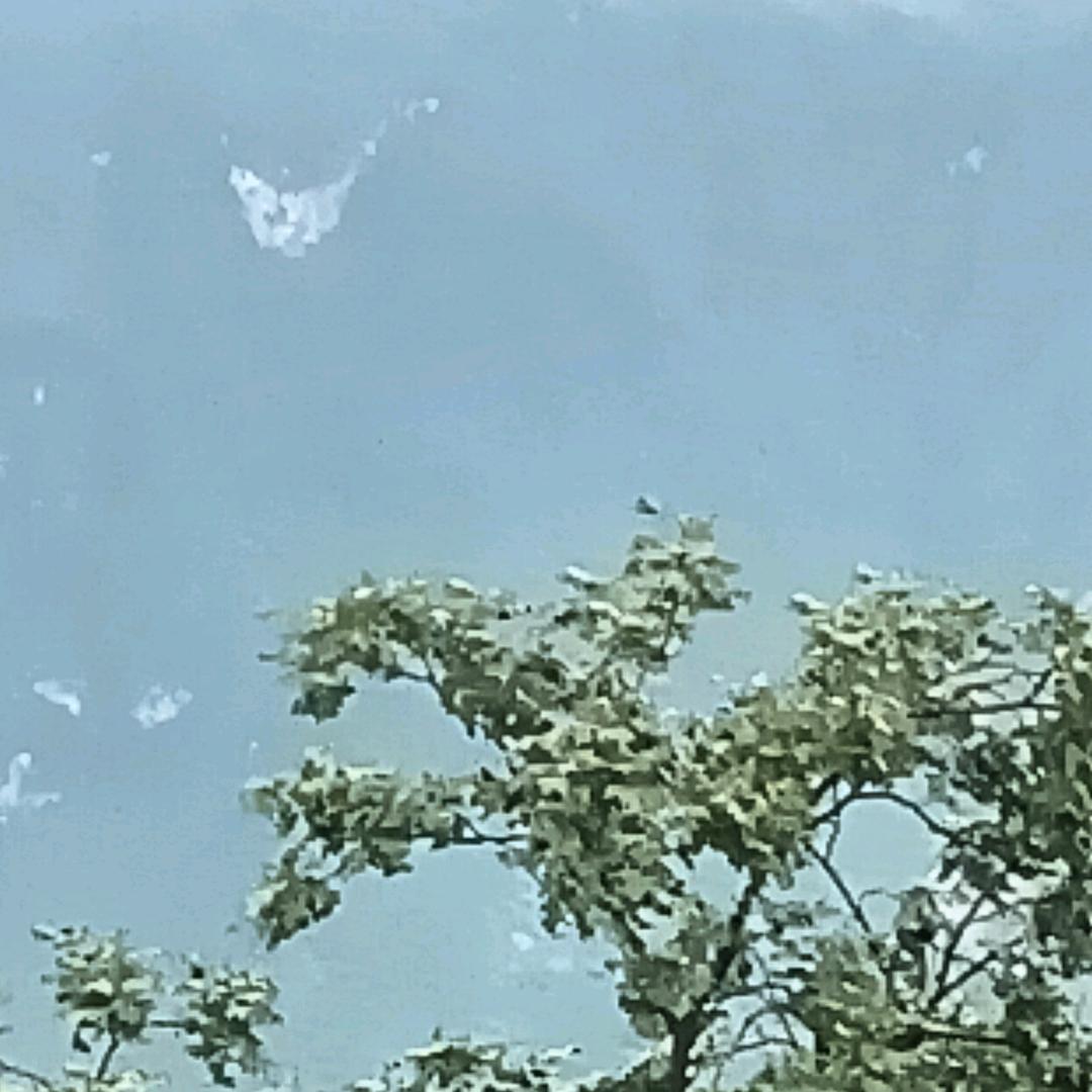 ❤️一位来自四川的宝妈。