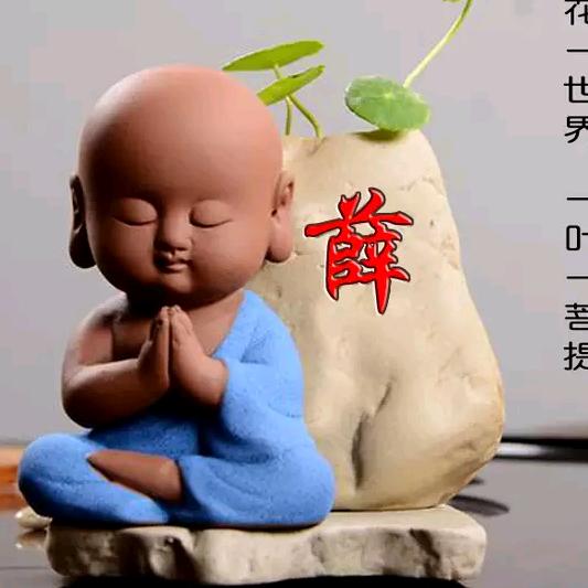 不看不后悔---看了更后悔