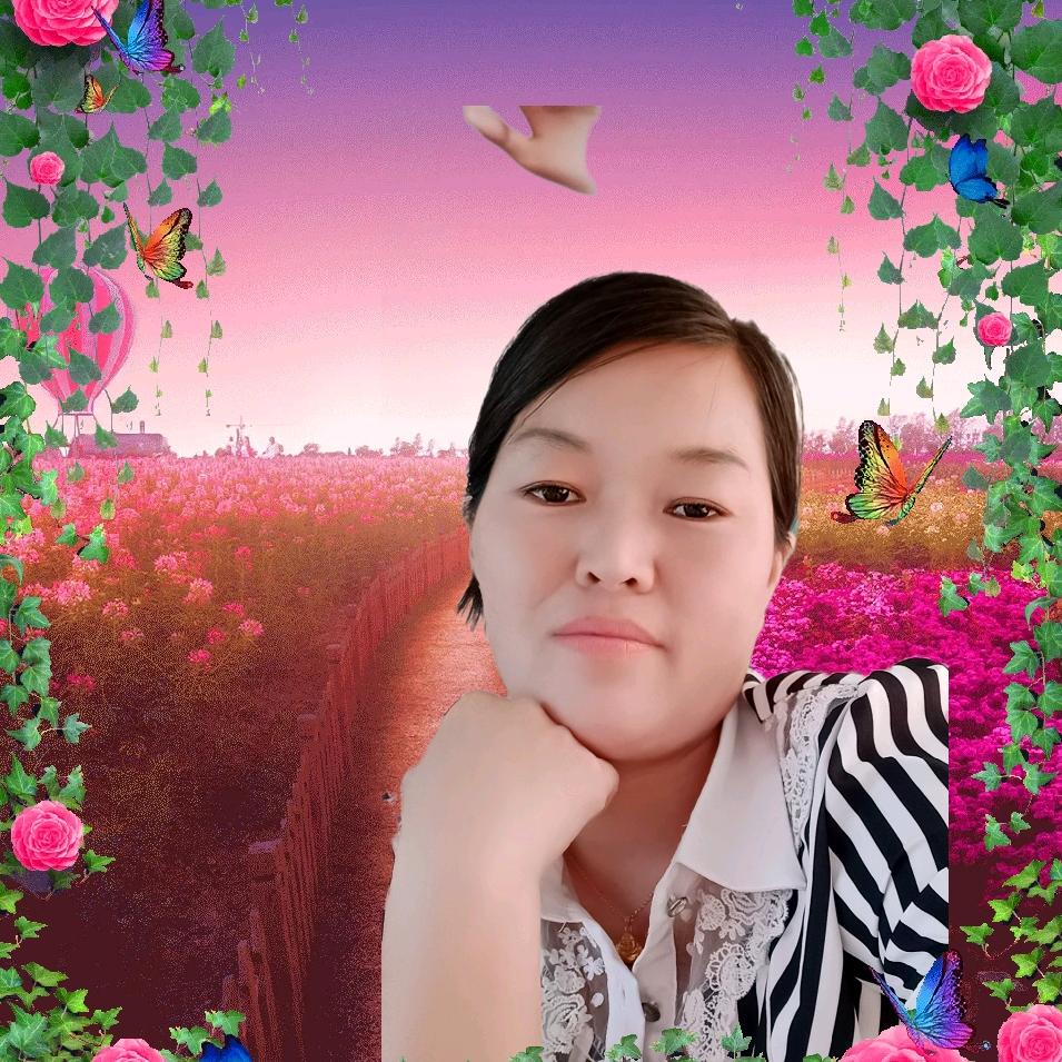 与你同行
