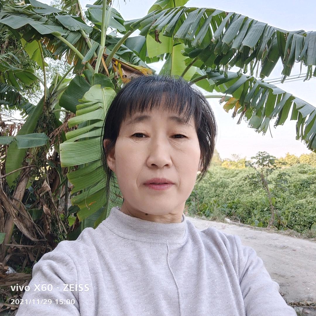 向大姐（早上6点10分）首播