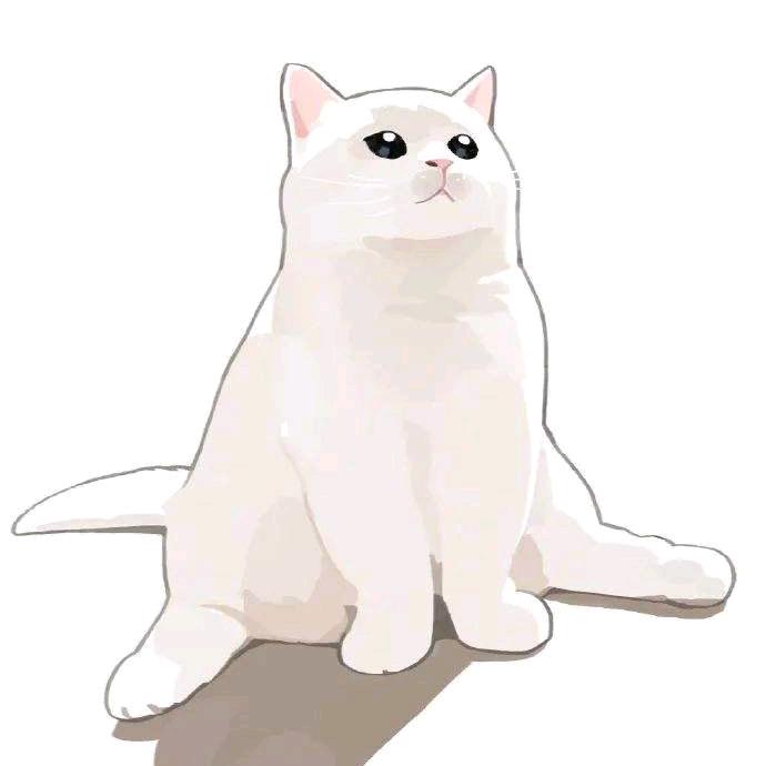 白帽