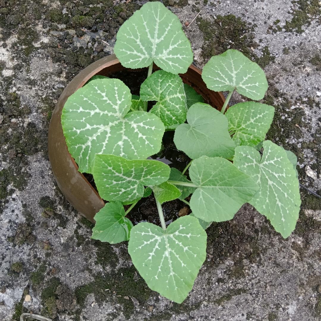 曾经