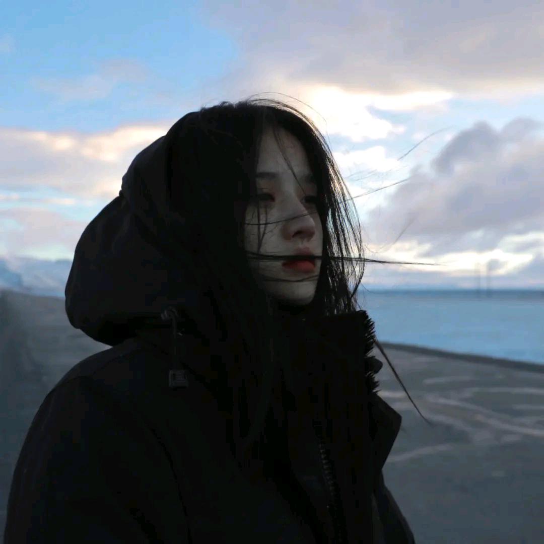 小葵葵