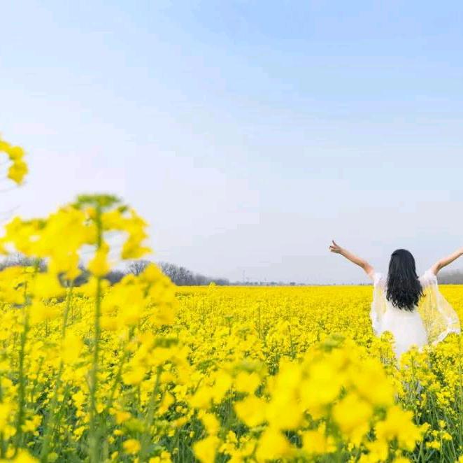 🌴向日葵 🌻