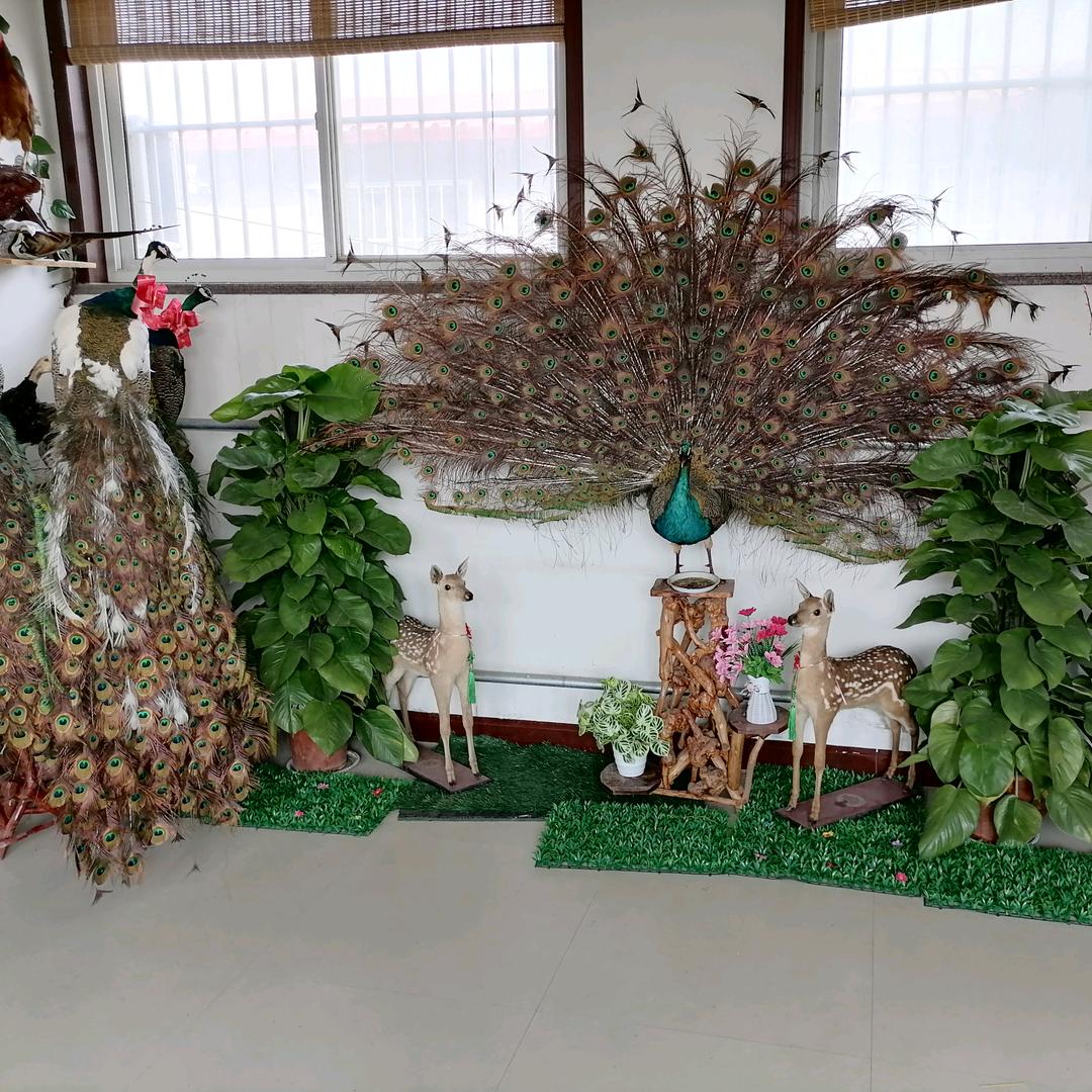 我的农村田园生活