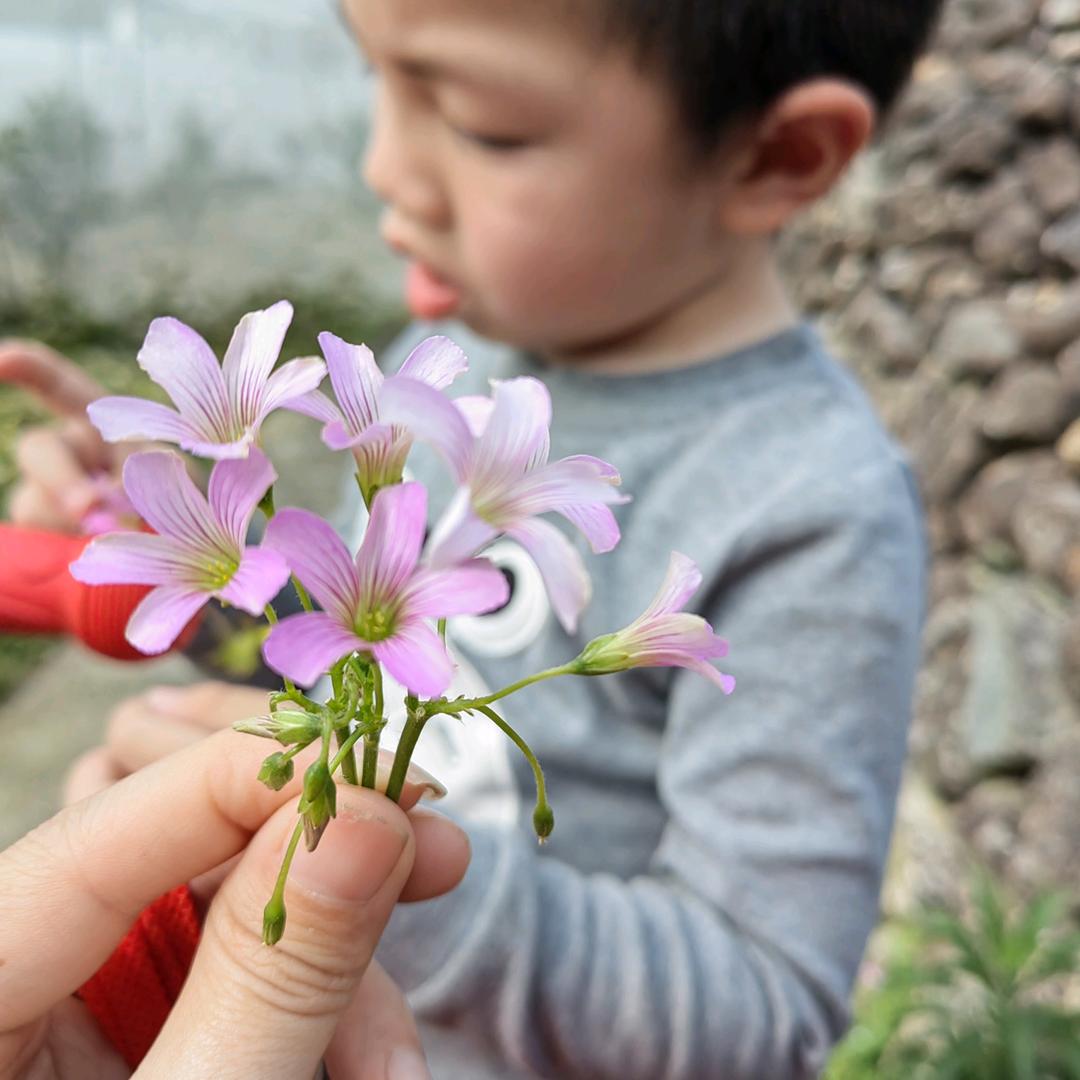 花花，