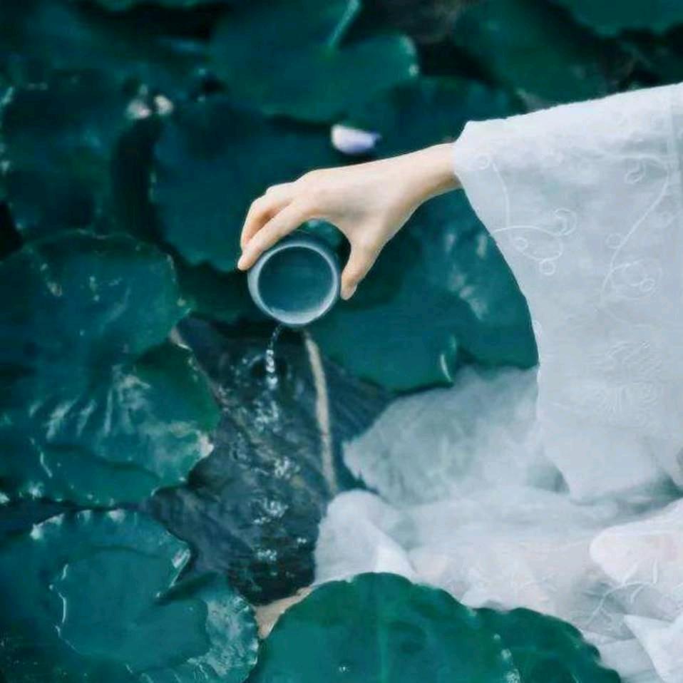 @云水禅心