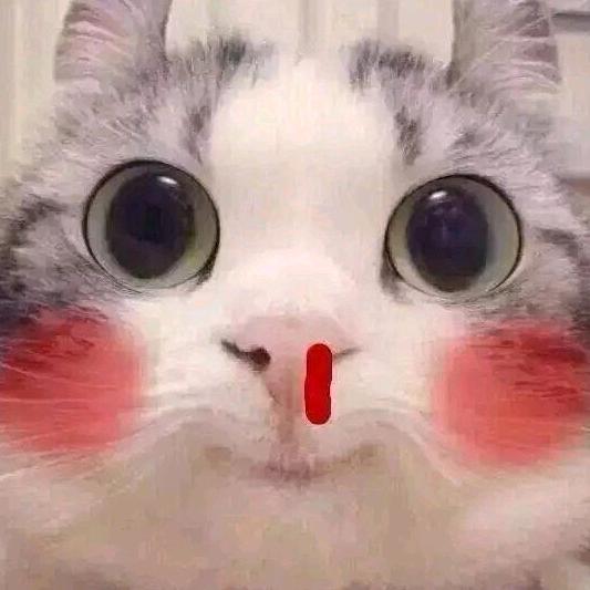 满山猴子就我腚红