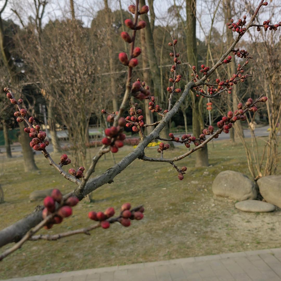 “你向佐我向佑”