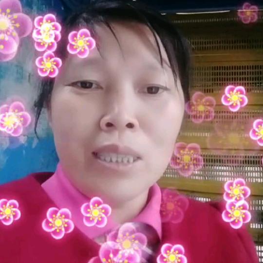 玫瑰花