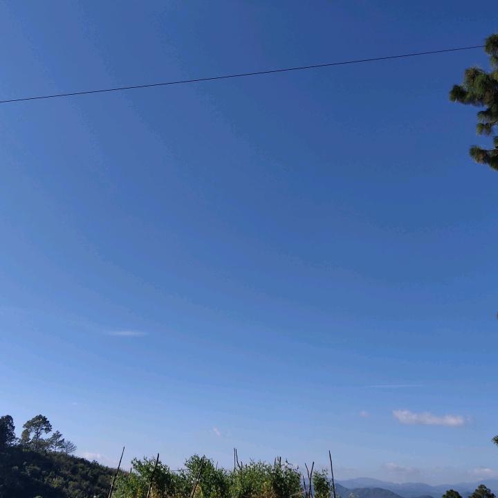 喜欢猴腿的杏林春燕头像