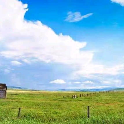 美好未来好物分享