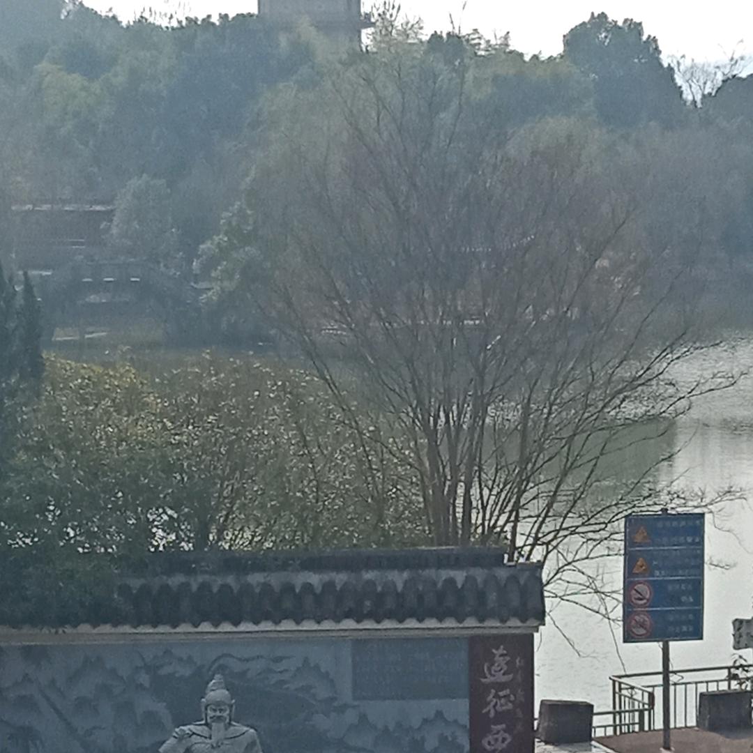 田