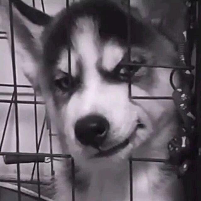 尹路。
