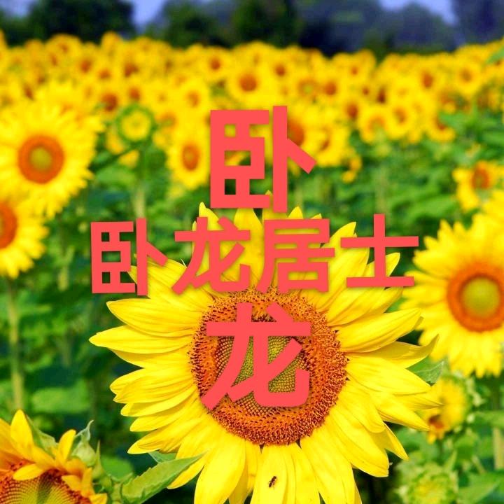 卧龙居士