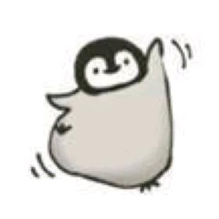 小胖太可爱了吧🥠💦