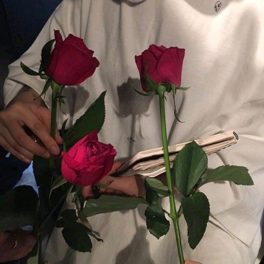 贰十叁.