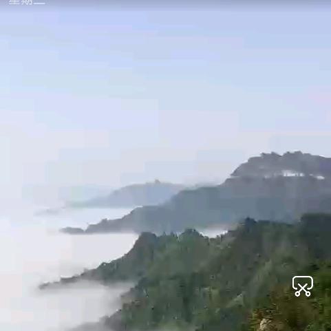 杨yyyyx