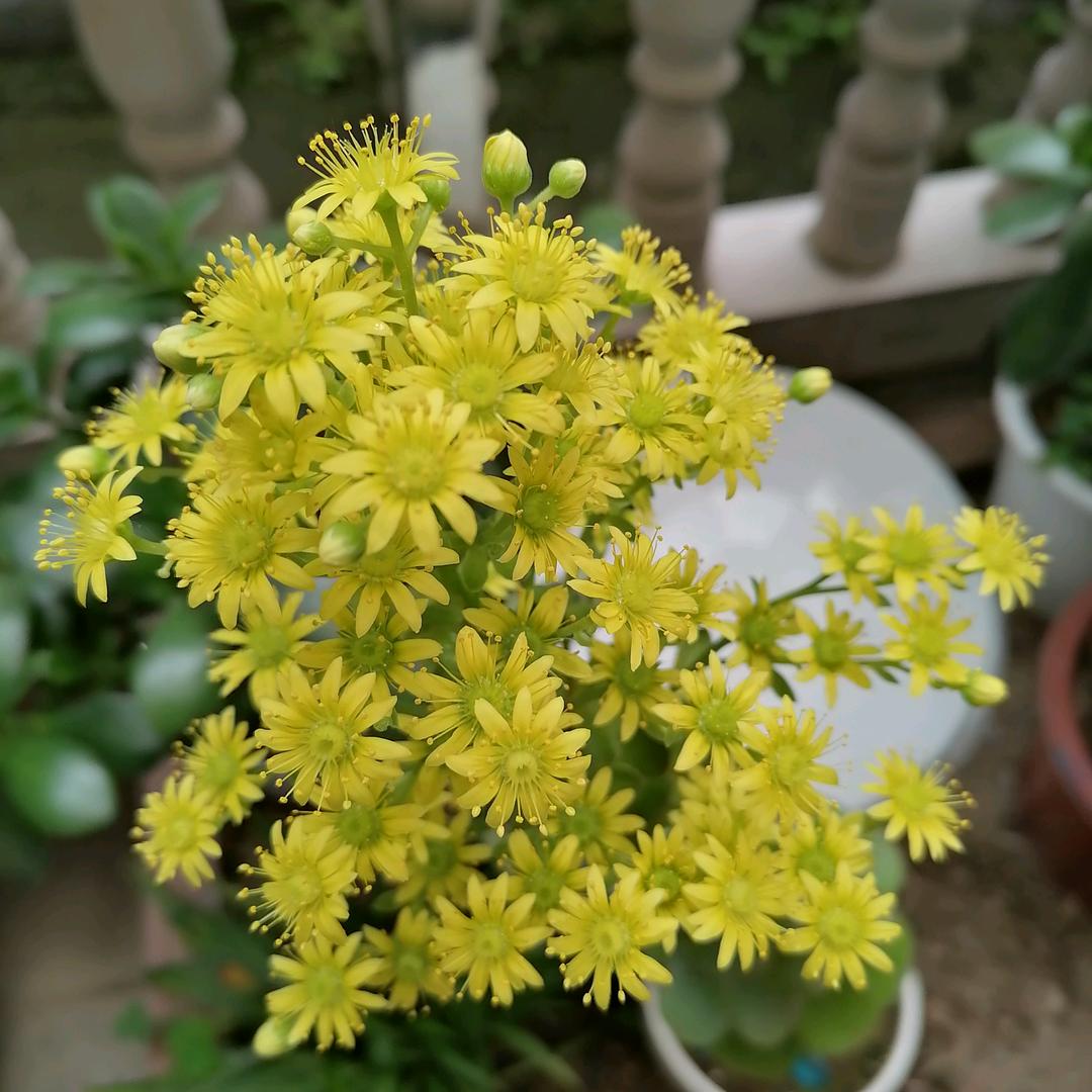 美美哒，美美哒