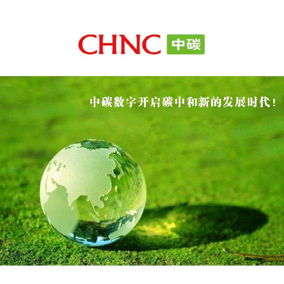 中碳智慧能源集团