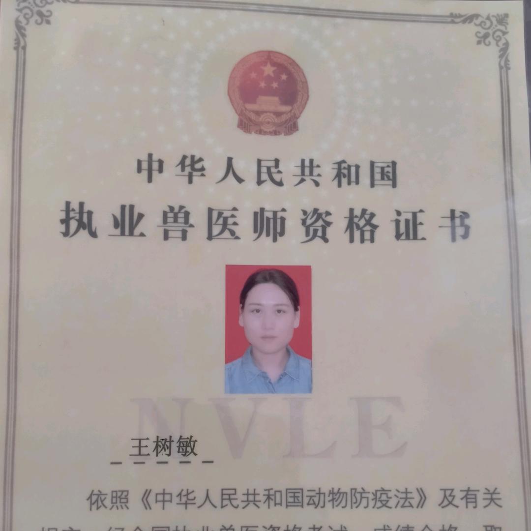 王树敏宠物用品